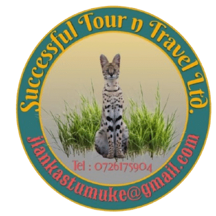 Successful Tour n Travel Ltd